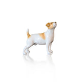Jack Russell (102BC) - Willow and Avon