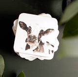 Meg Hawkins Friesian Cow Watercolour Design Coasters Mat Pack of 4