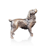 Cocker Spaniel (1196)