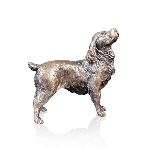 Cocker Spaniel (1196)