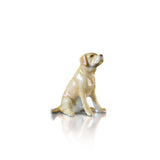 Labrador (101BC) - Willow and Avon