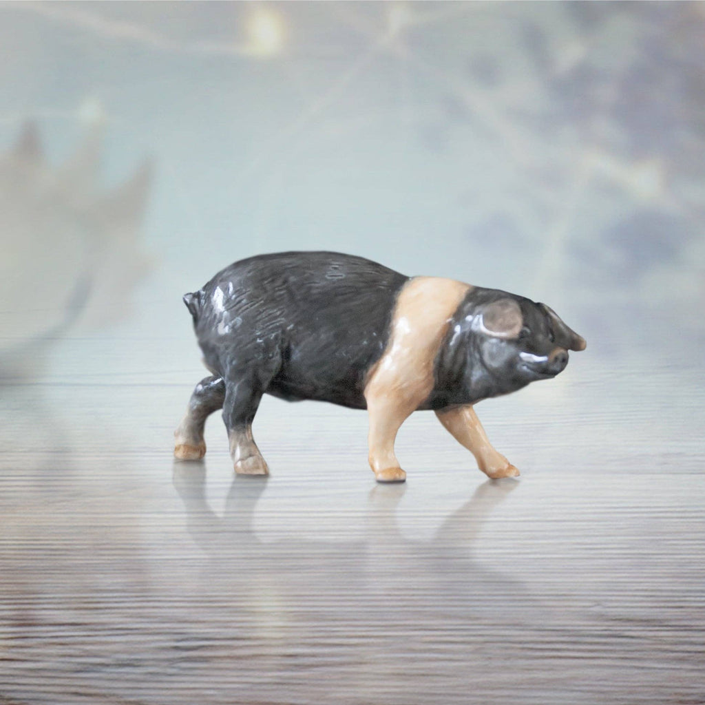 Saddleback Pig (114BC)