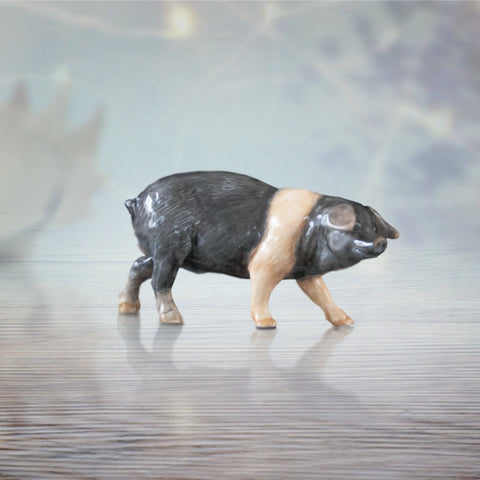 Saddleback Pig (114BC)