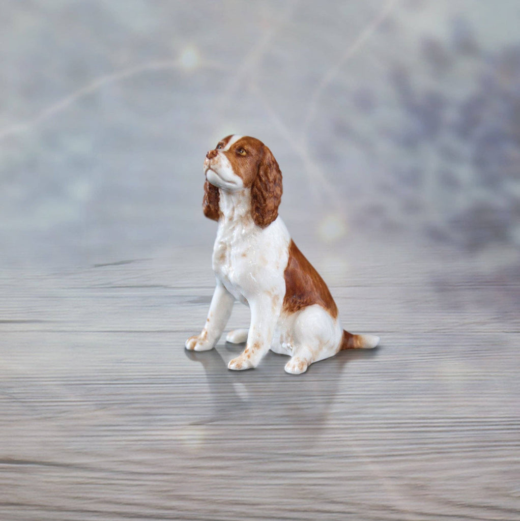 Springer Spaniel (106BC)