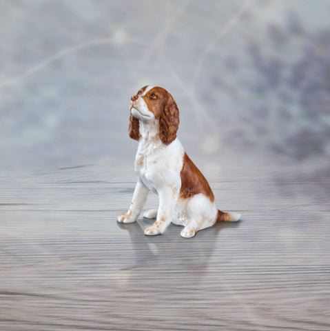 Springer Spaniel (106BC)