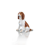 Springer Spaniel (106BC)