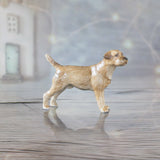 Border Terrier (107BC)