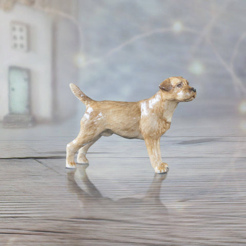 Border Terrier (107BC)