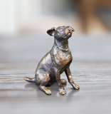 Jack Russell Sitting (1121)