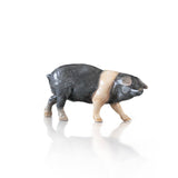 Saddleback Pig (114BC)