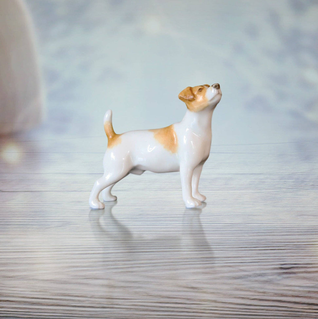 Jack Russell (102BC) - Willow and Avon