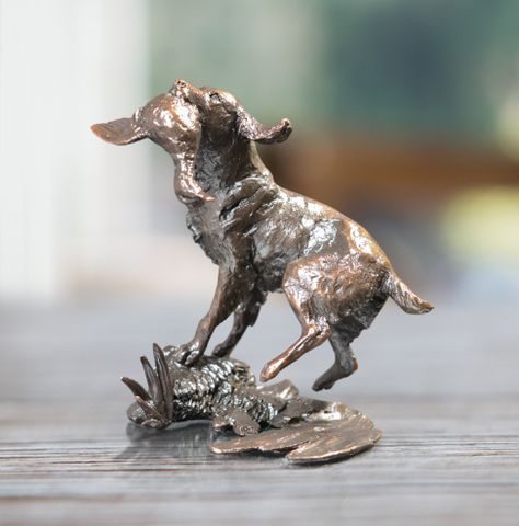 Springer Spaniel Retrieving (1071)