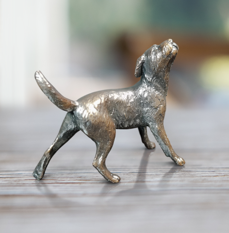 Border Terrier (1157)