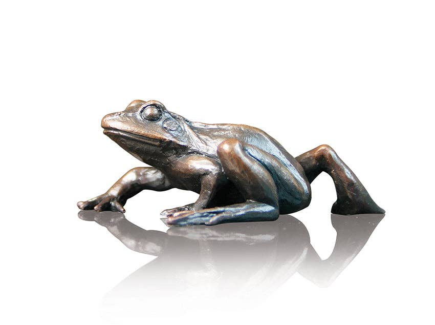 Small Frog Walking (931)