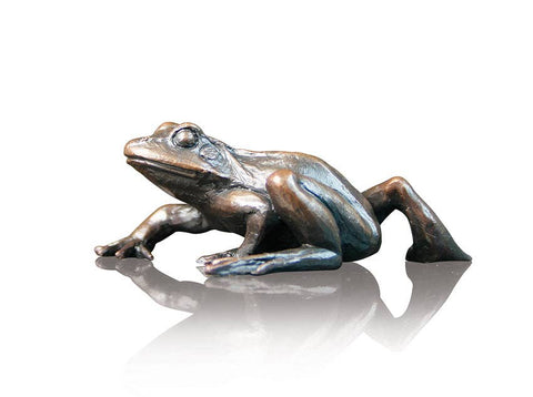 Small Frog Walking (931)