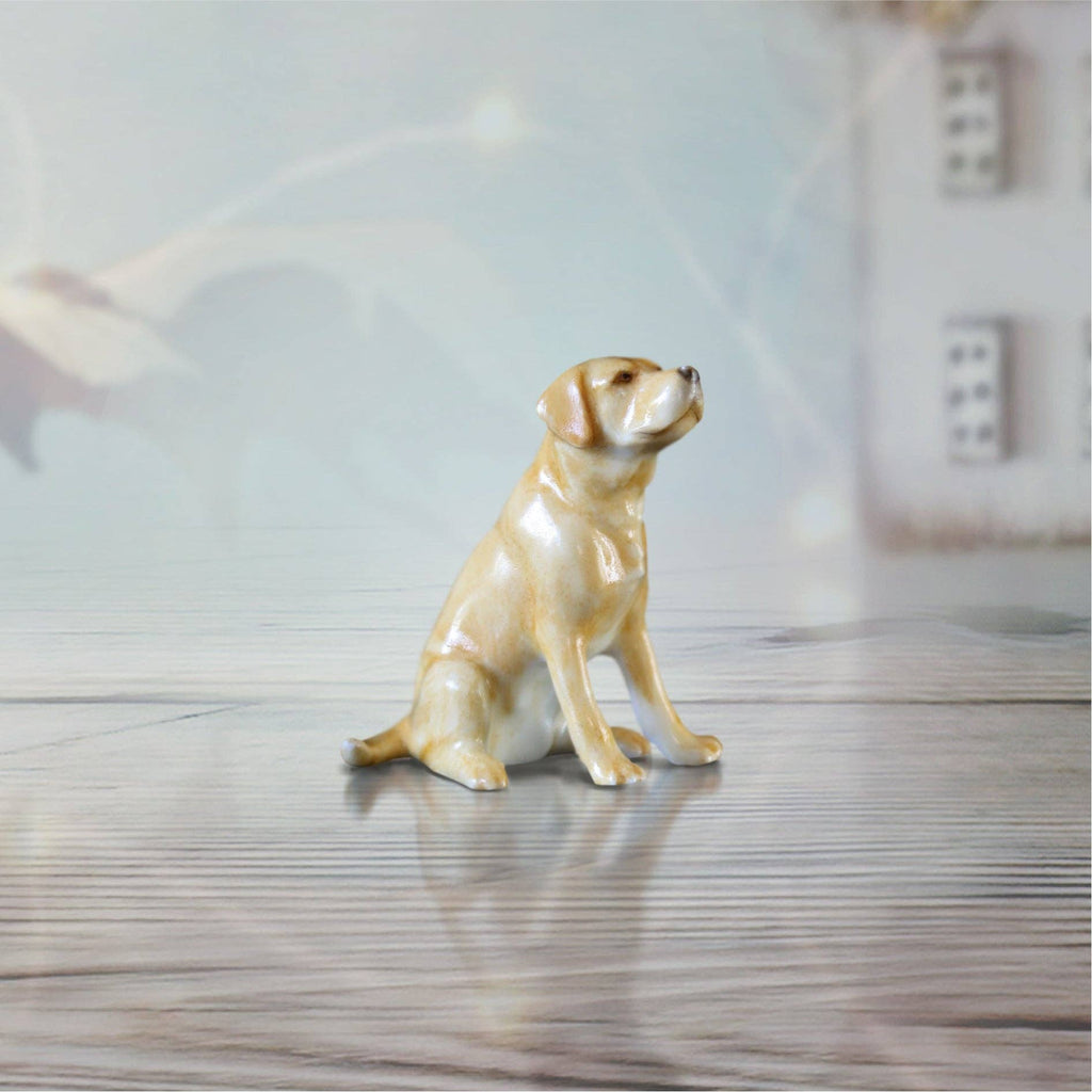 Labrador (101BC) - Willow and Avon