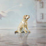 Labrador (101BC) - Willow and Avon