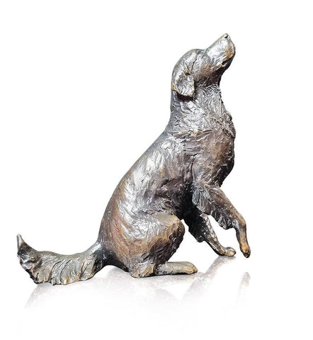 Medium Retriever Sitting (1201)