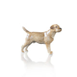 Border Terrier (107BC)