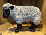 Black & White Spiky Sheep - Side - Willow and Avon
