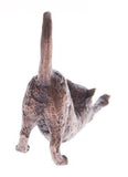 Butler & Peach Detailed Small Solid Bronze Cat Stretching - Willow and Avon