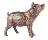 Butler & Peach Detailed Small Solid Bronze Pig - Willow and Avon