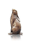 Butler & Peach Detailed Small Solid Bronze Hare Moongazing - Willow and Avon