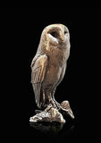 Butler & Peach Detailed Small Solid Bronze Sitting Barn Owl Boxed Gift - Willow and Avon